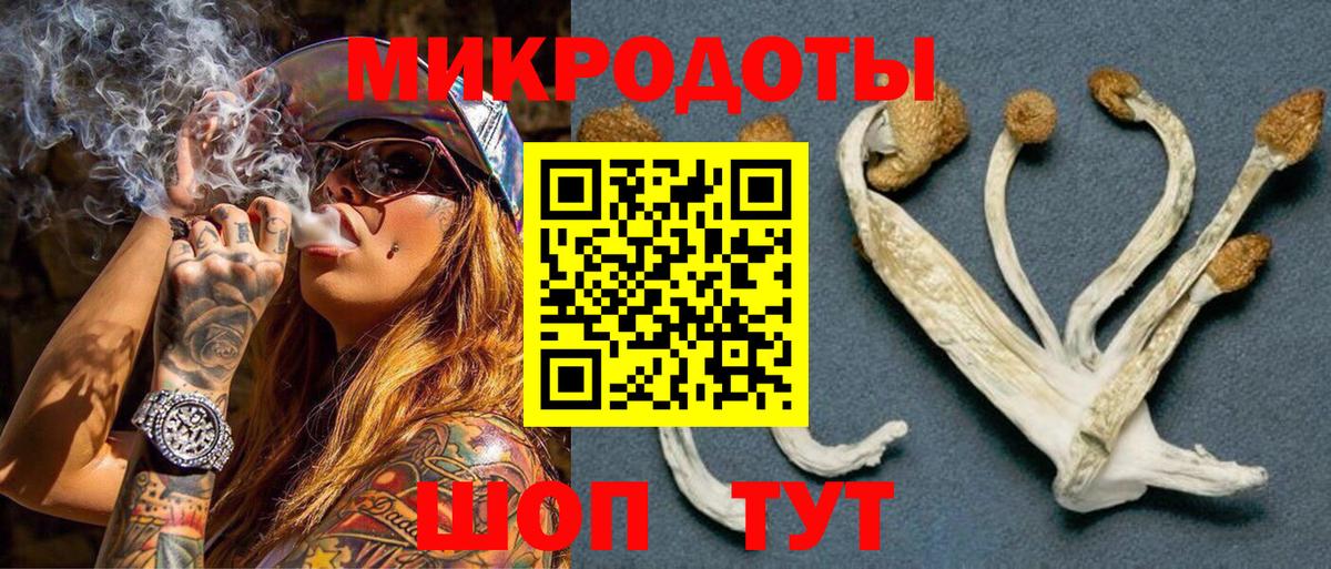 Рубцовск  Псилоцибиновые грибы Psilocybe  Вход с VPN  Галлюциногенные грибы прущие грибы 